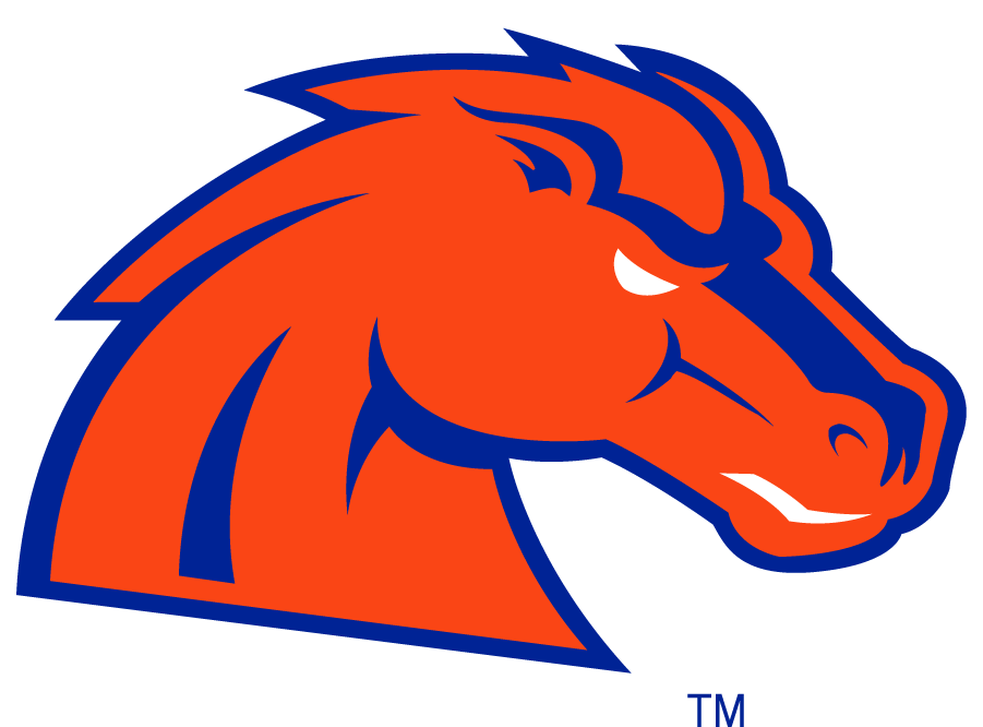 Boise State Broncos 2002-2012 Secondary Logo v31 iron on transfers for clothing
